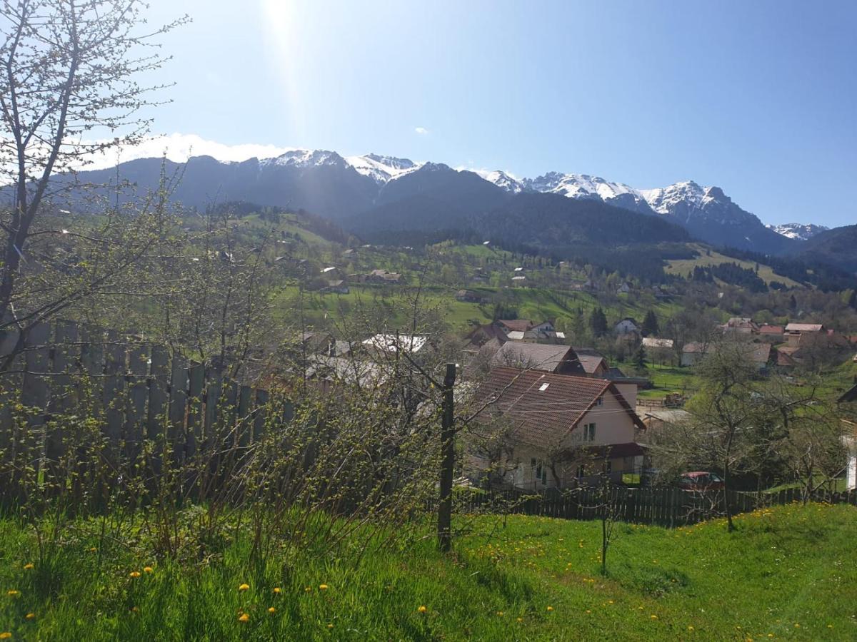 Pensiunea Sarah Bran Bran (Brasov) Exterior foto