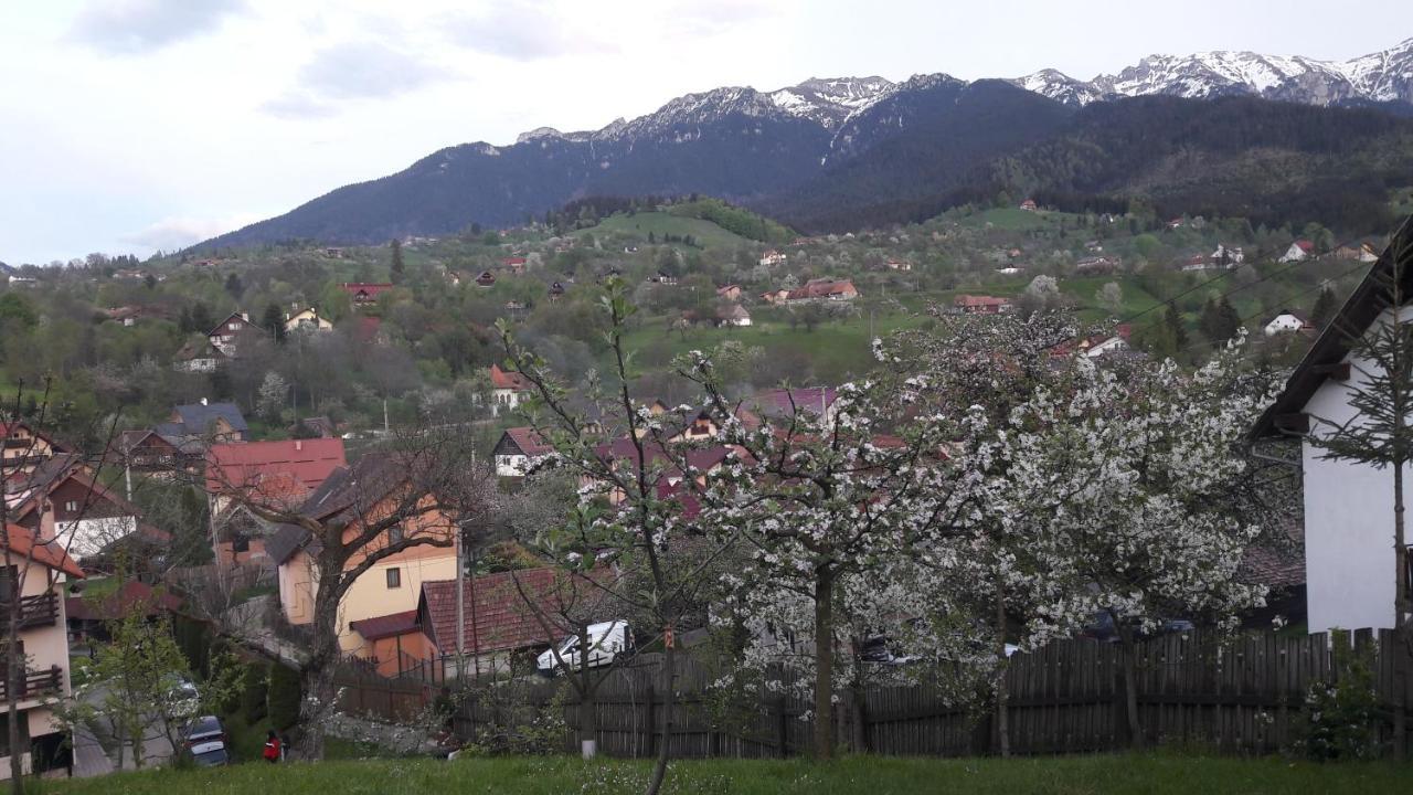 Pensiunea Sarah Bran Bran (Brasov) Exterior foto